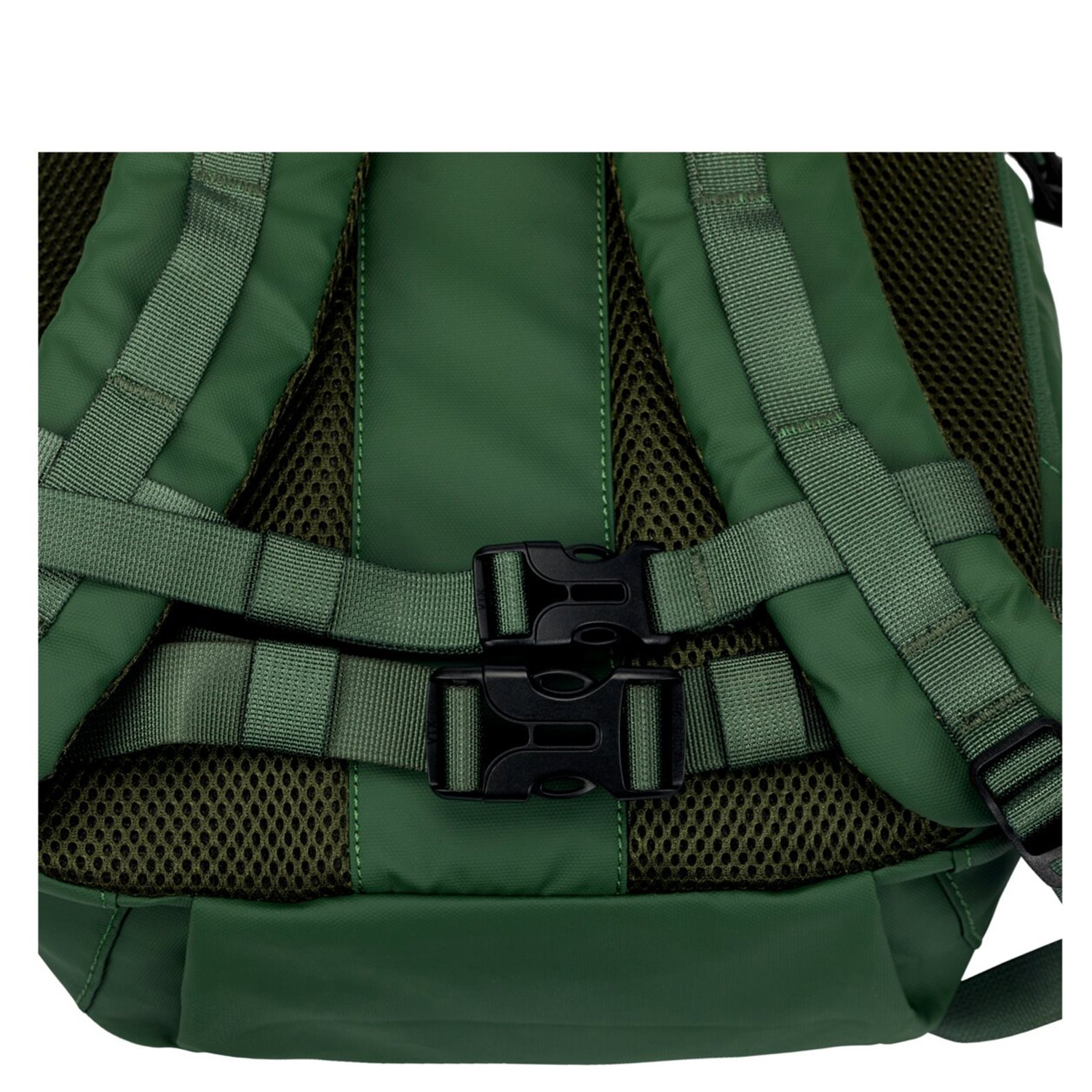 34000green_9