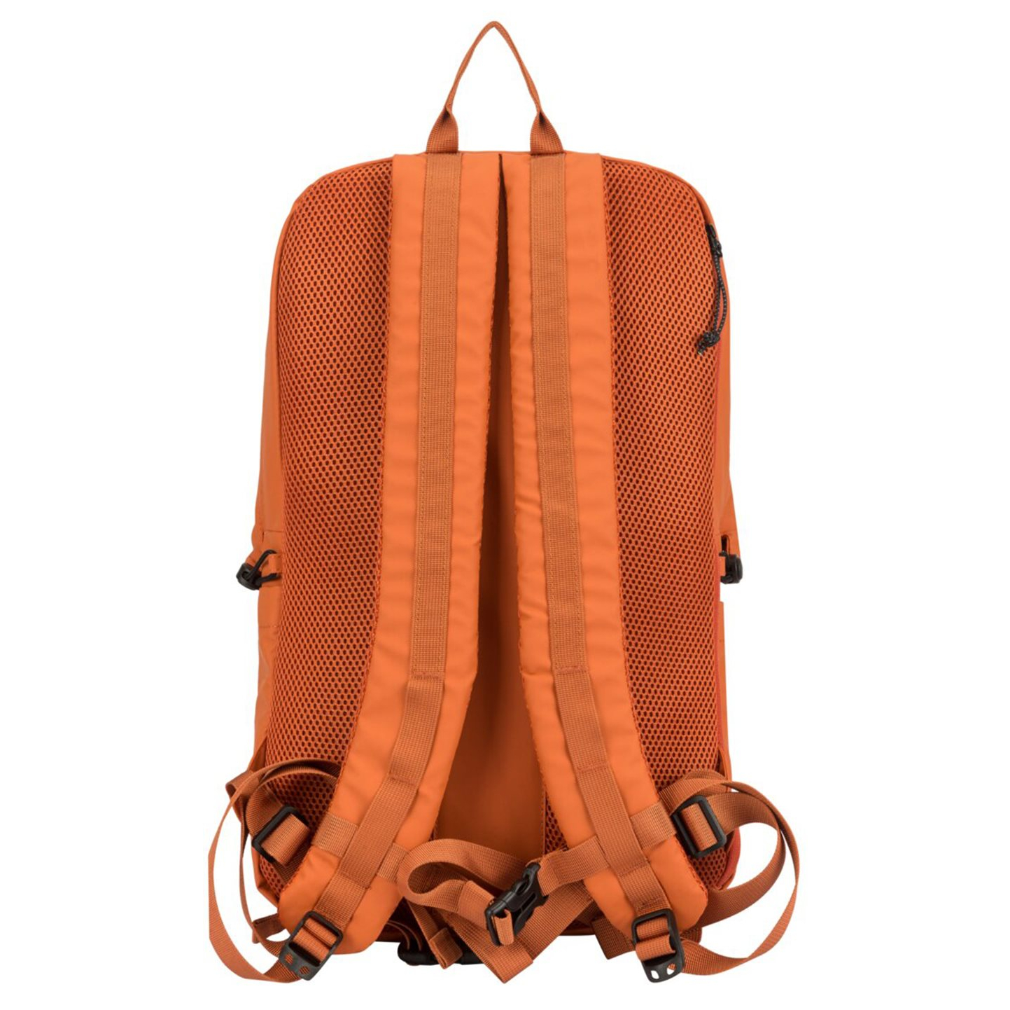 34000orange_3