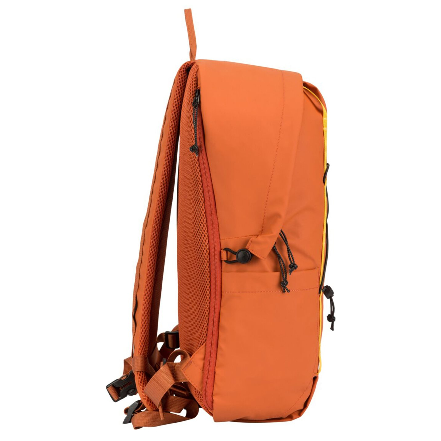 34000orange_6