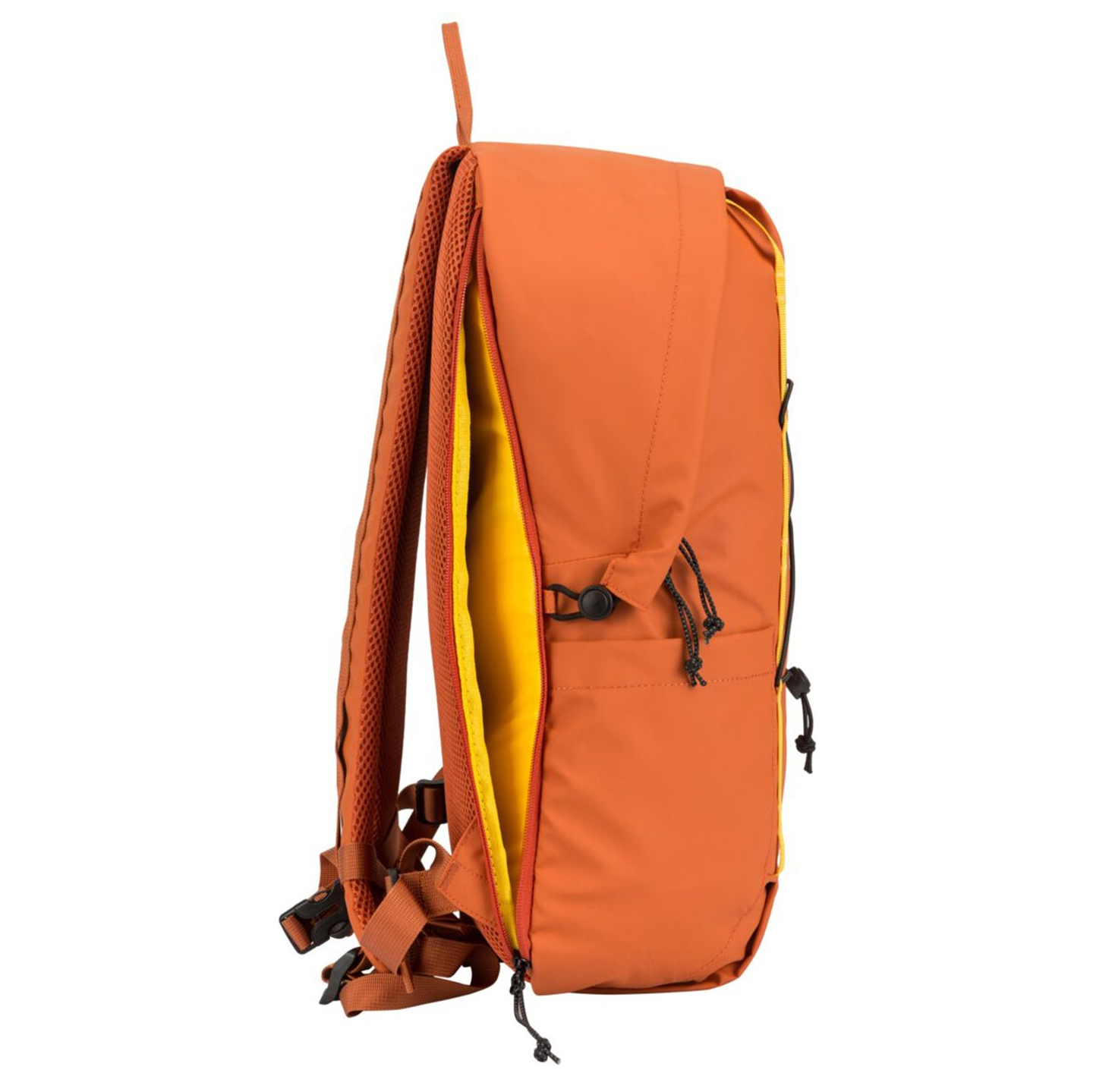34000orange_8