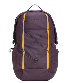 34000purple_1