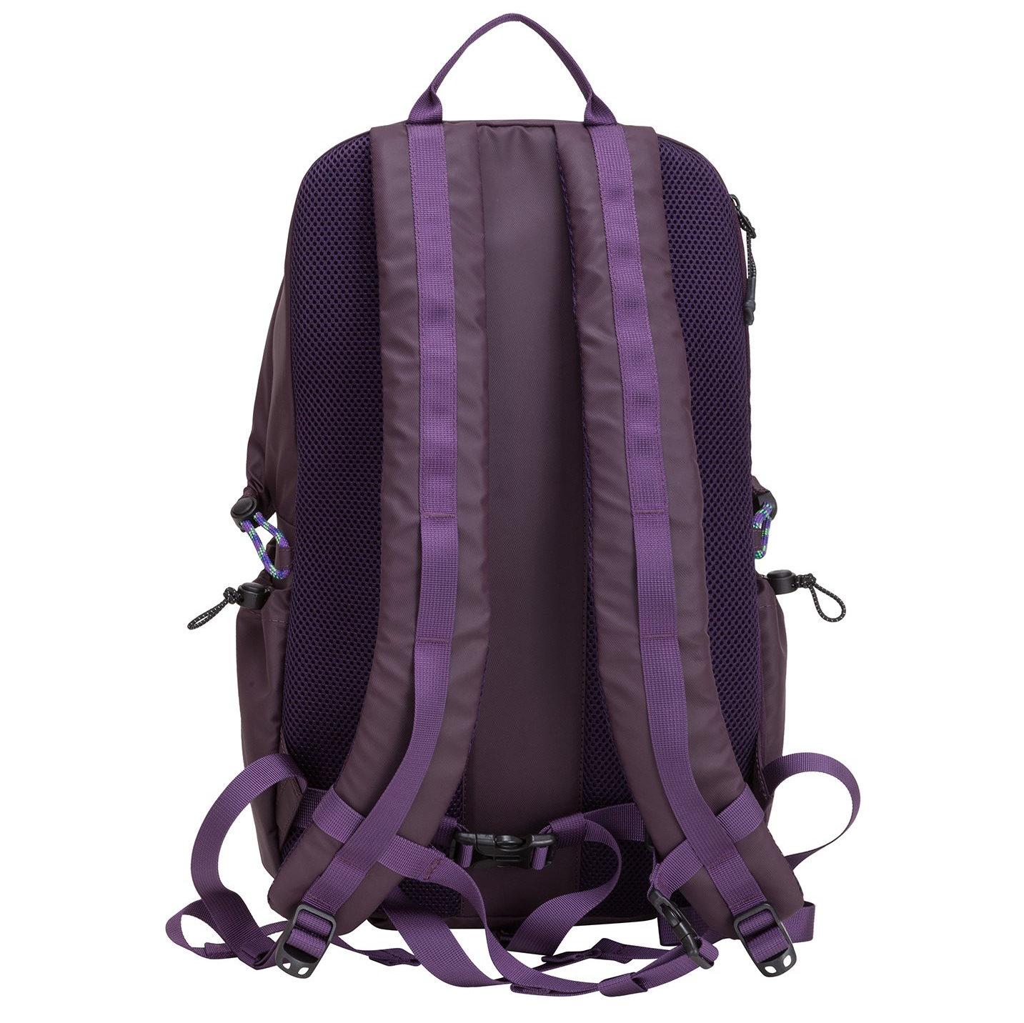 34000purple_3