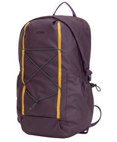 34000purple_4