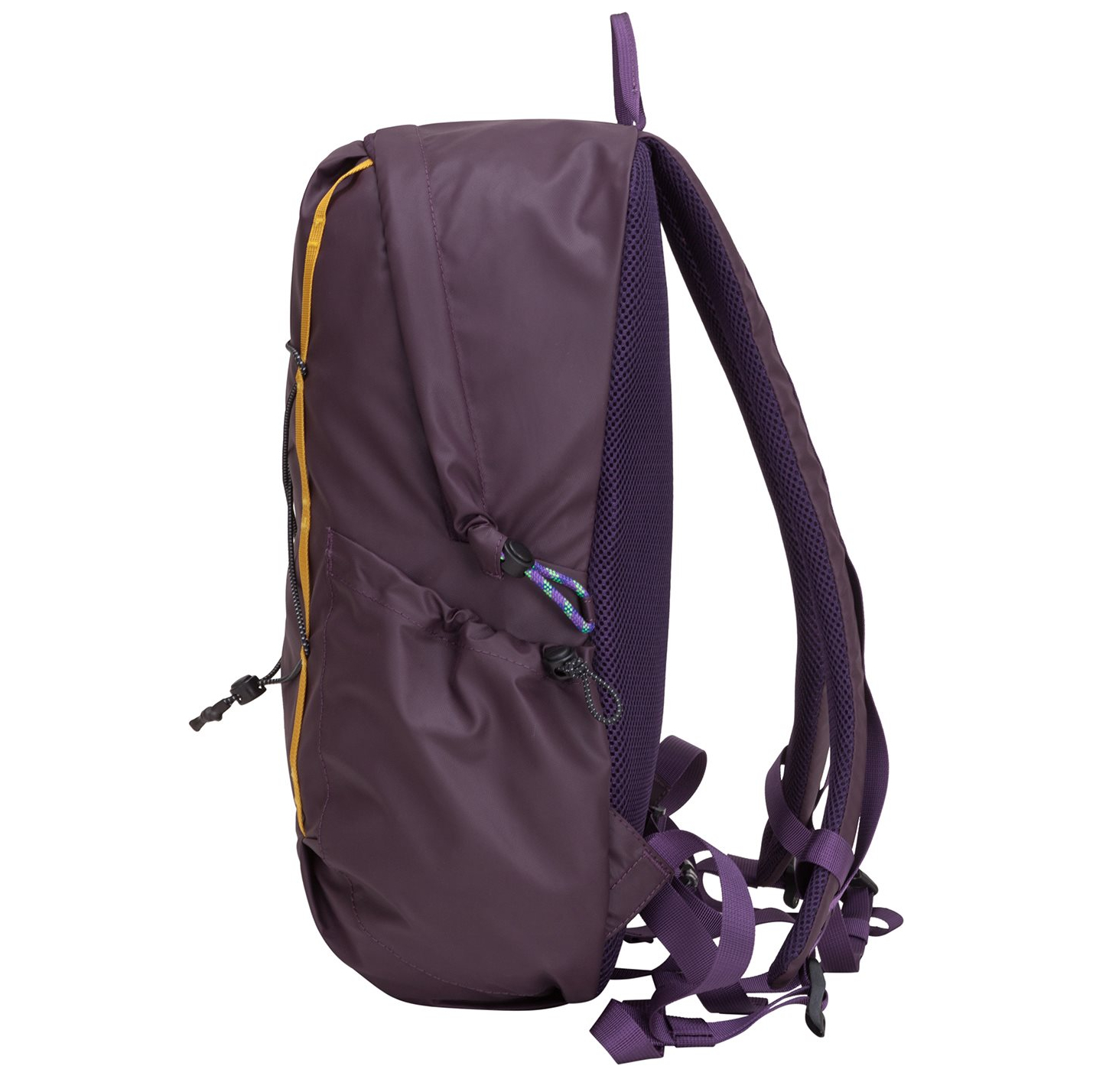 34000purple_5
