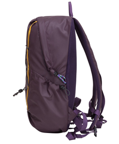 34000purple_5
