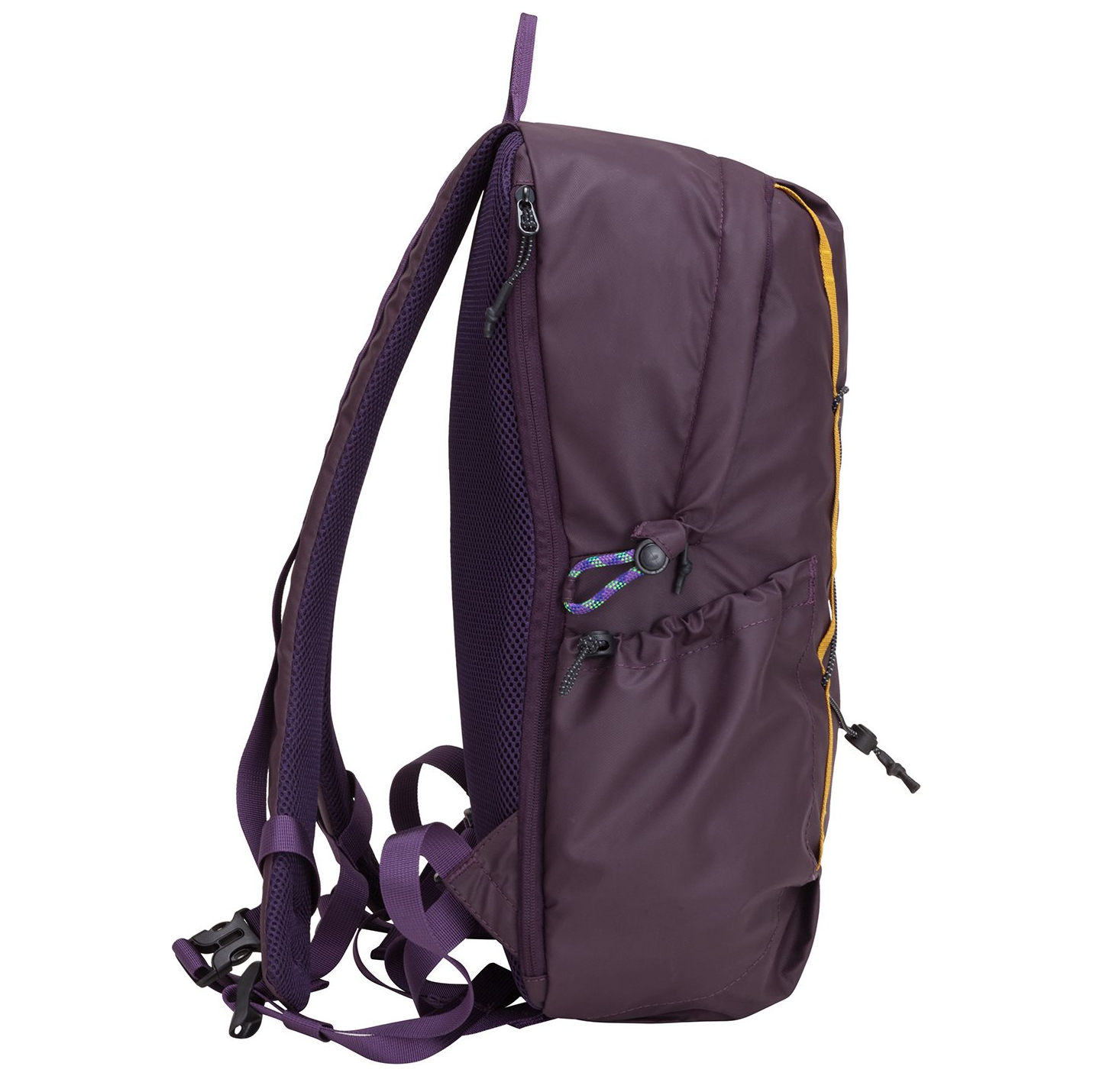 34000purple_6