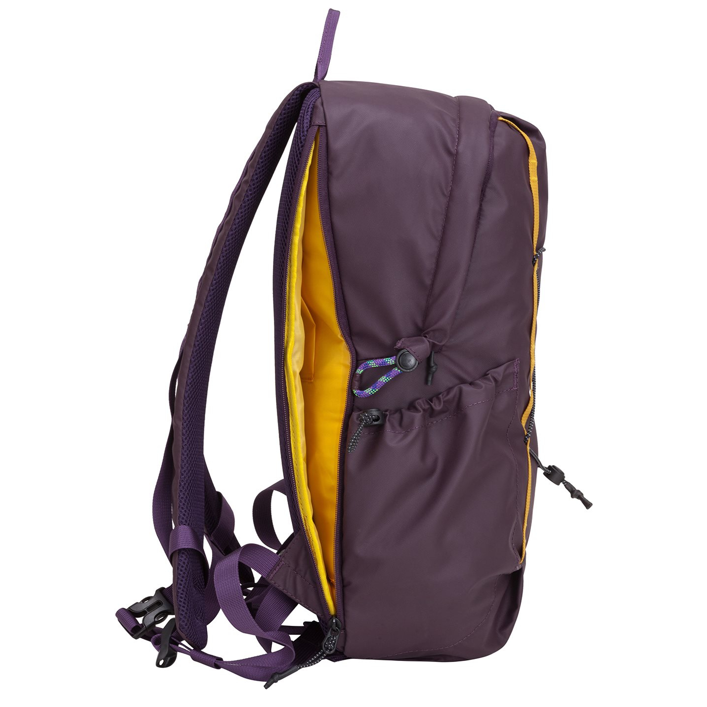 34000purple_8