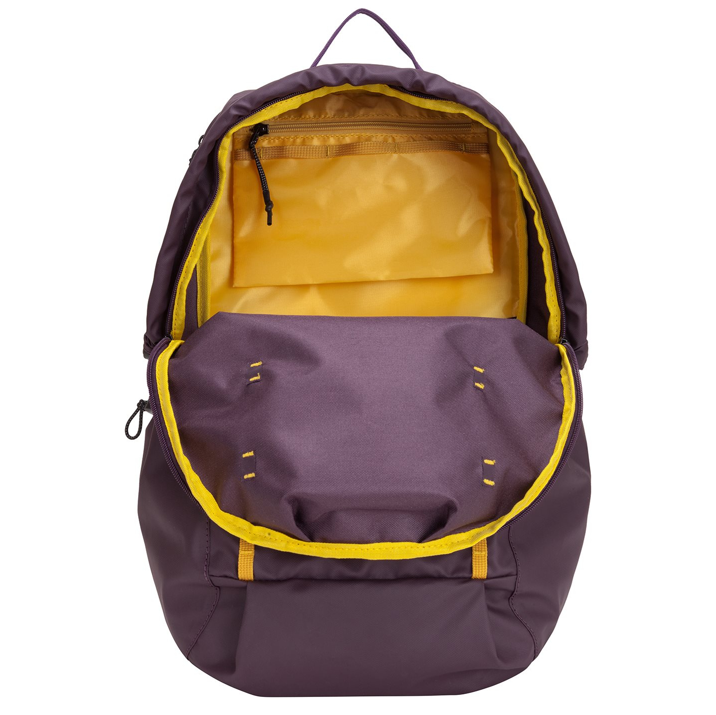 34000purple_9