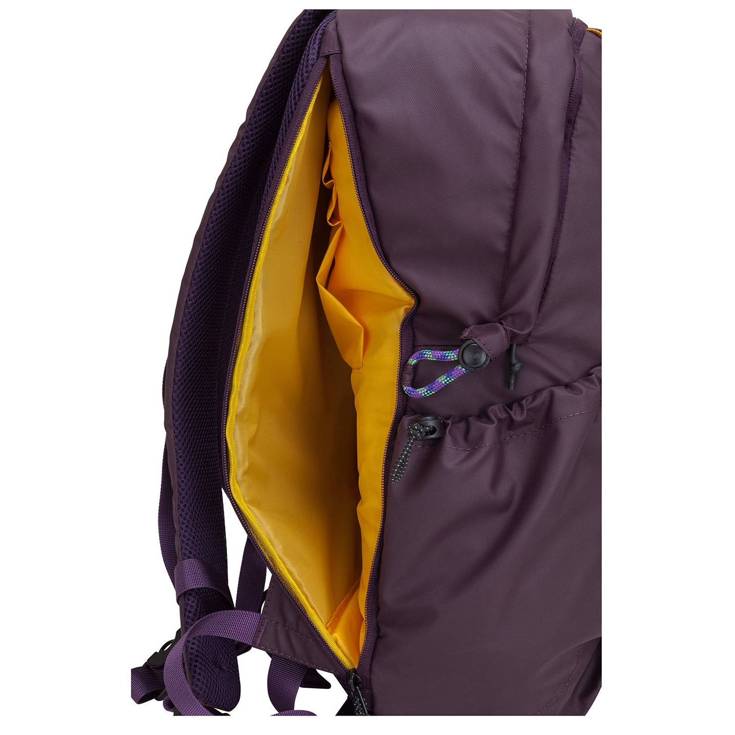 34000purple_11