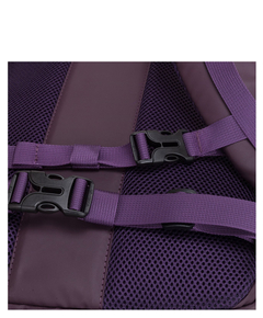 34000purple_13