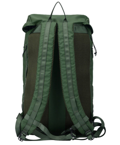 34002green_3