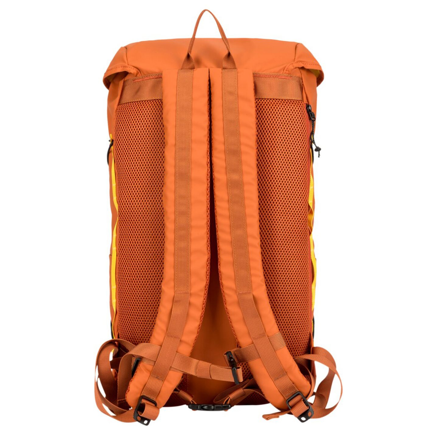 34002orange_3