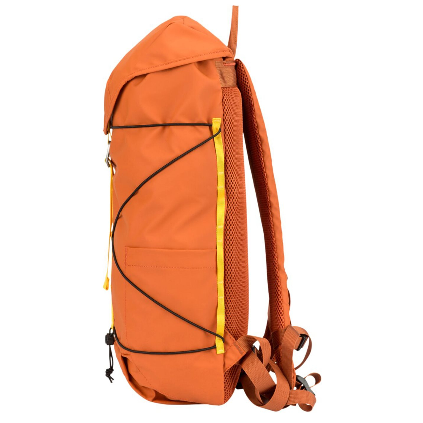 34002orange_5