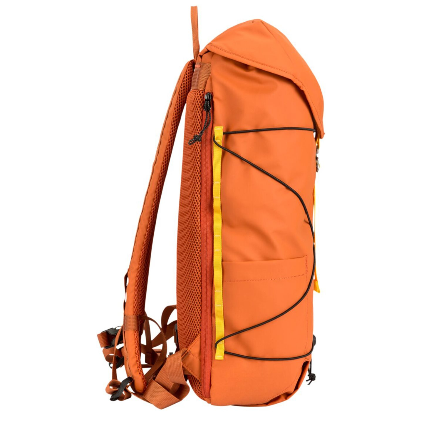 34002orange_6