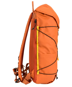 34002orange_6