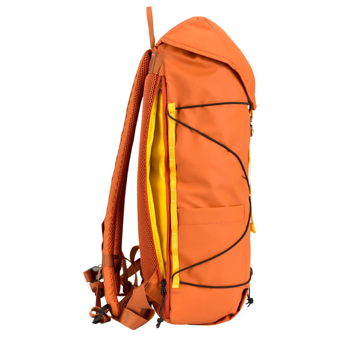 34002orange_8