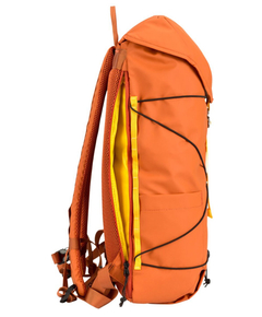 34002orange_8
