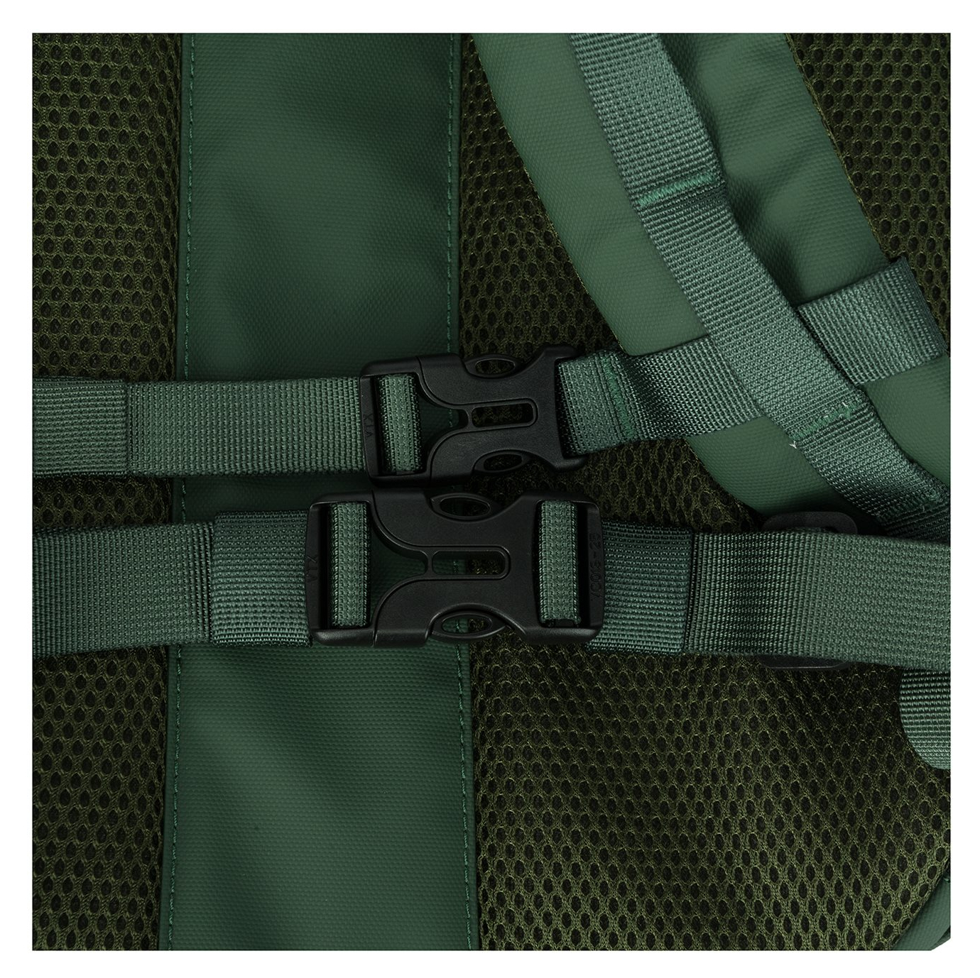 34003green_11