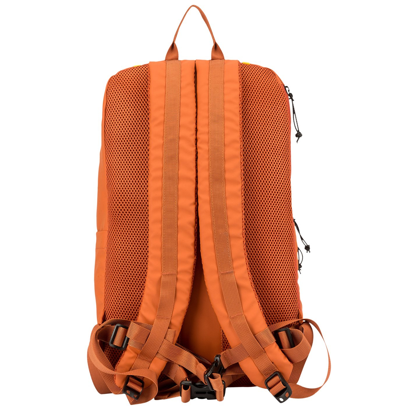 34003orange_3