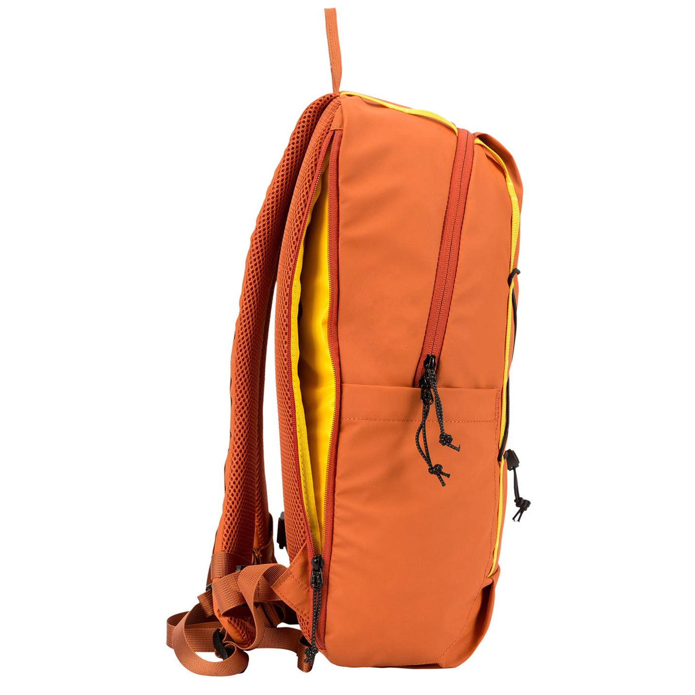 34003orange_7