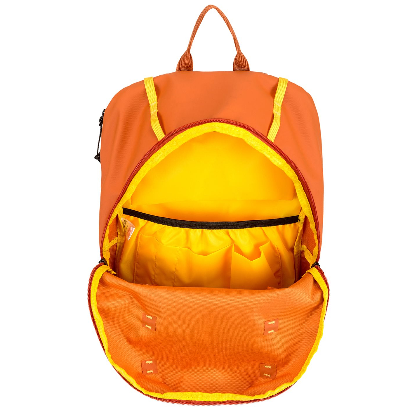 34003orange_10