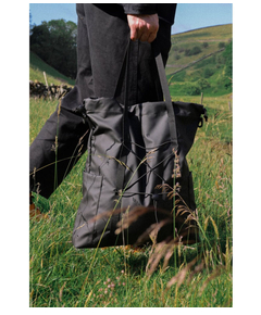 34007black_2