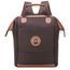 Delsey Chatelet Air 2.0 Tote Backpack brown