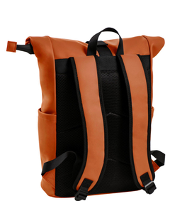 drs25-1086m-23_3