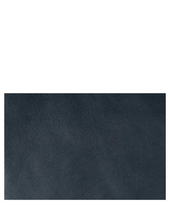 ex-015-blue_7