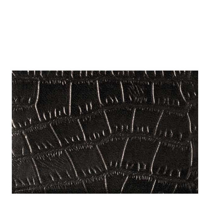 ex-101-caiman-black_7