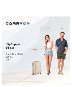 skyhopper4bc-champagne_13