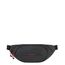 Samsonite Ecodiver Belt Bag charcoal
