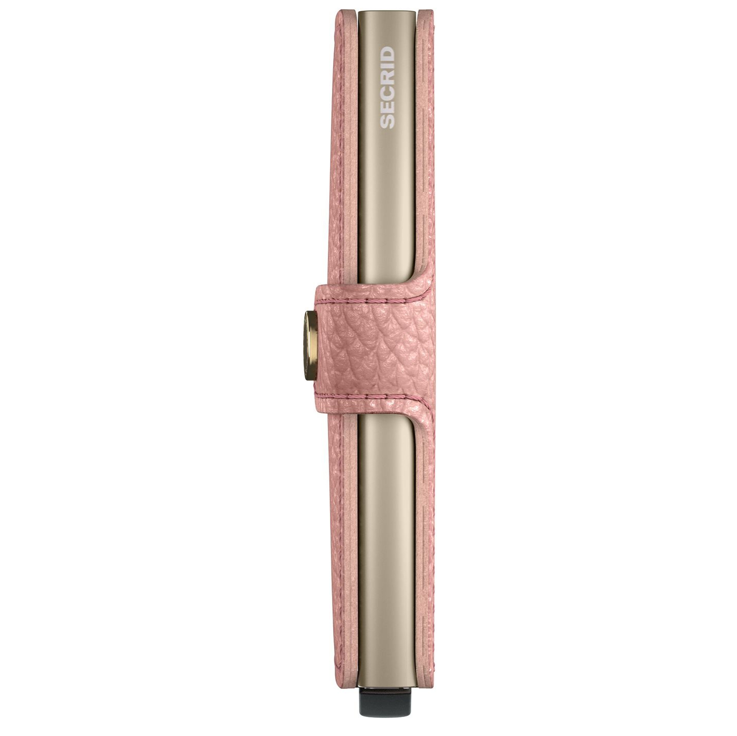 mpe-rose_2