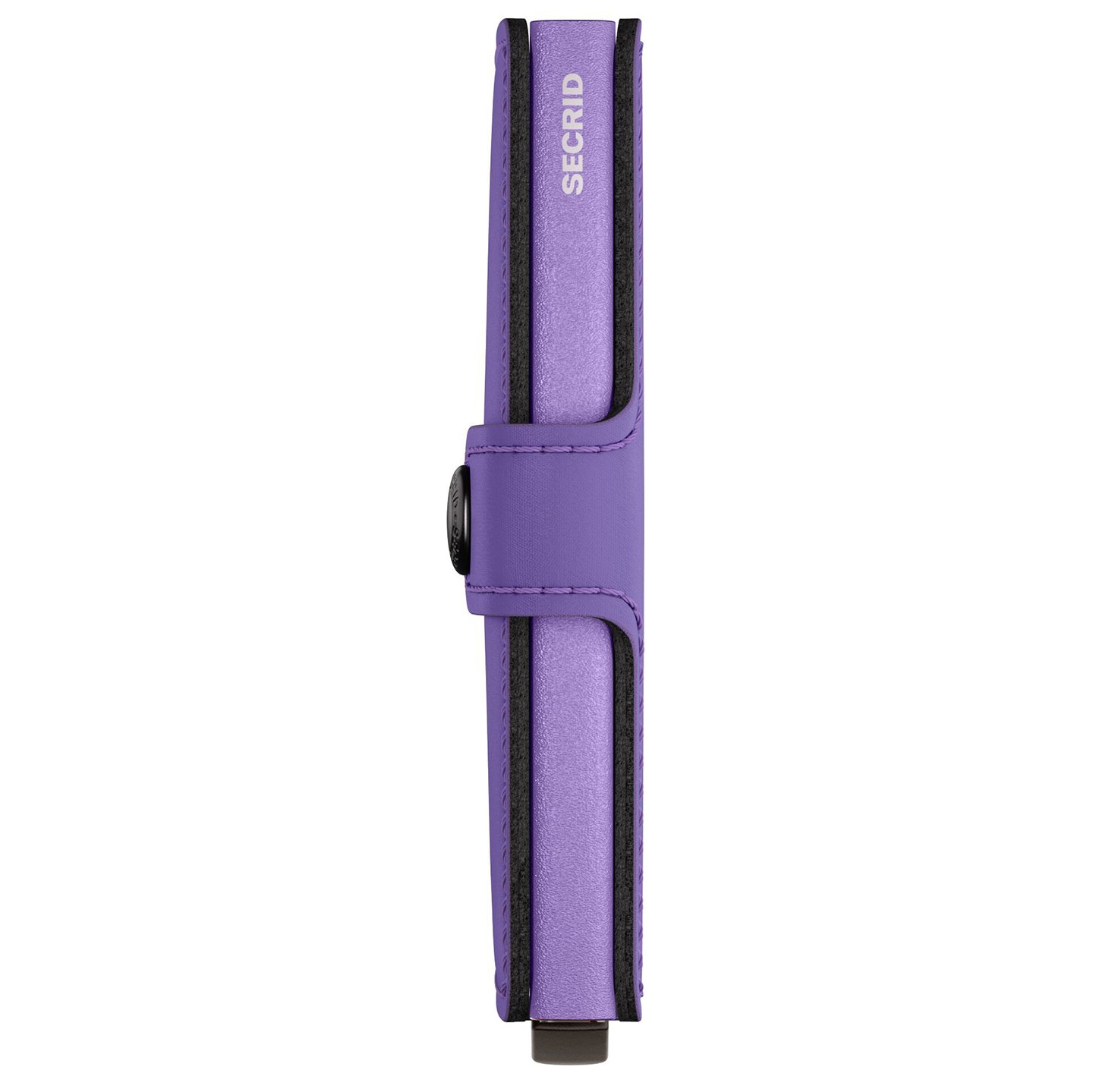 myp-lilac_2