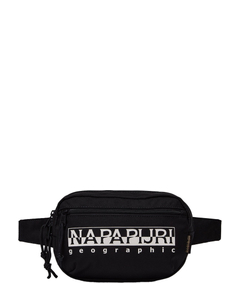 np0a4igg9411_1
