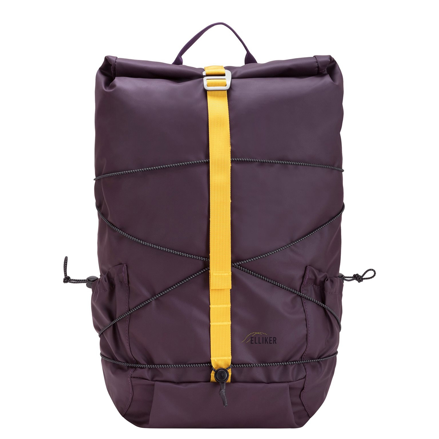 34001purple_1