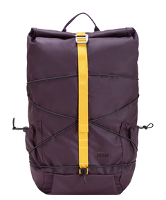34001purple_1
