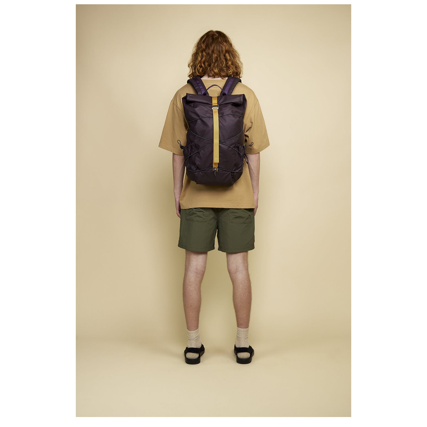 34001purple_2