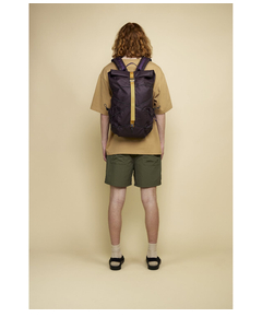 34001purple_2