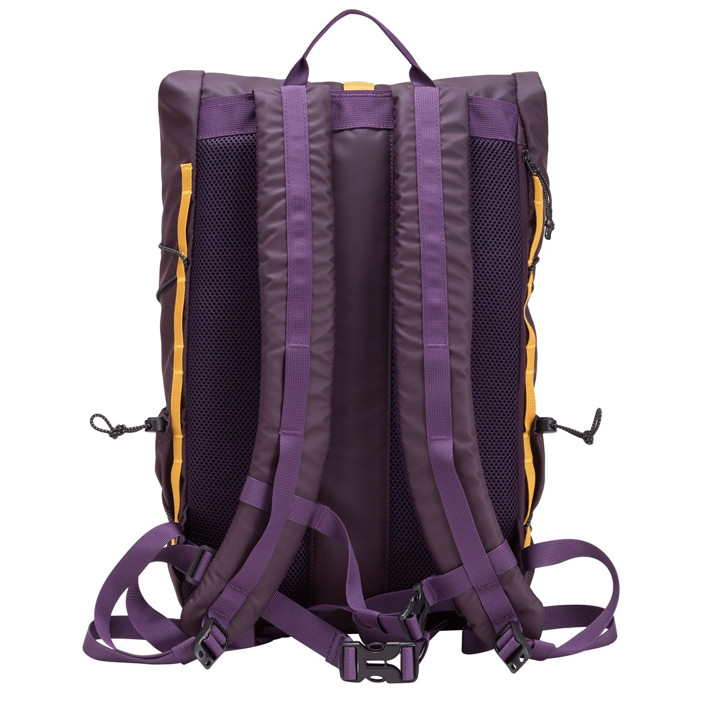34001purple_3