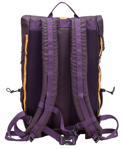 34001purple_3