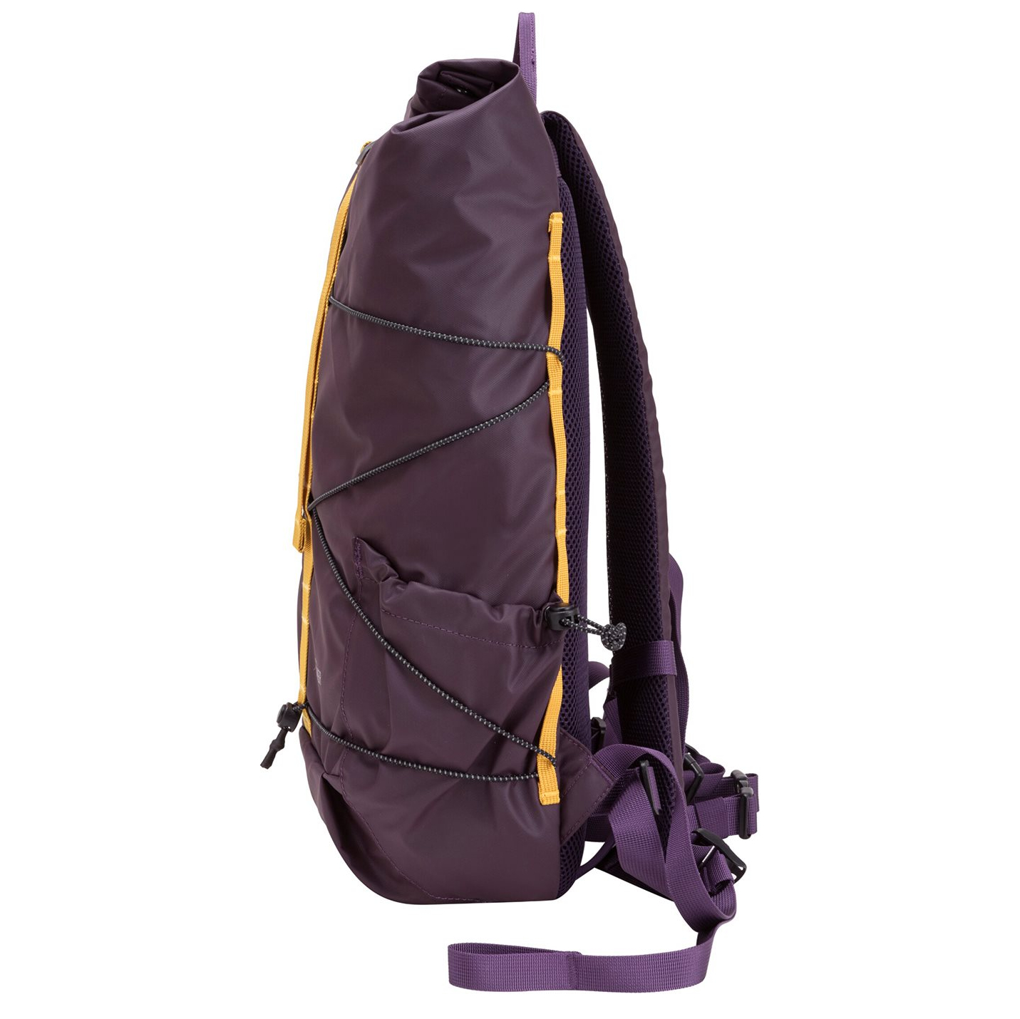 34001purple_4