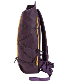 34001purple_4