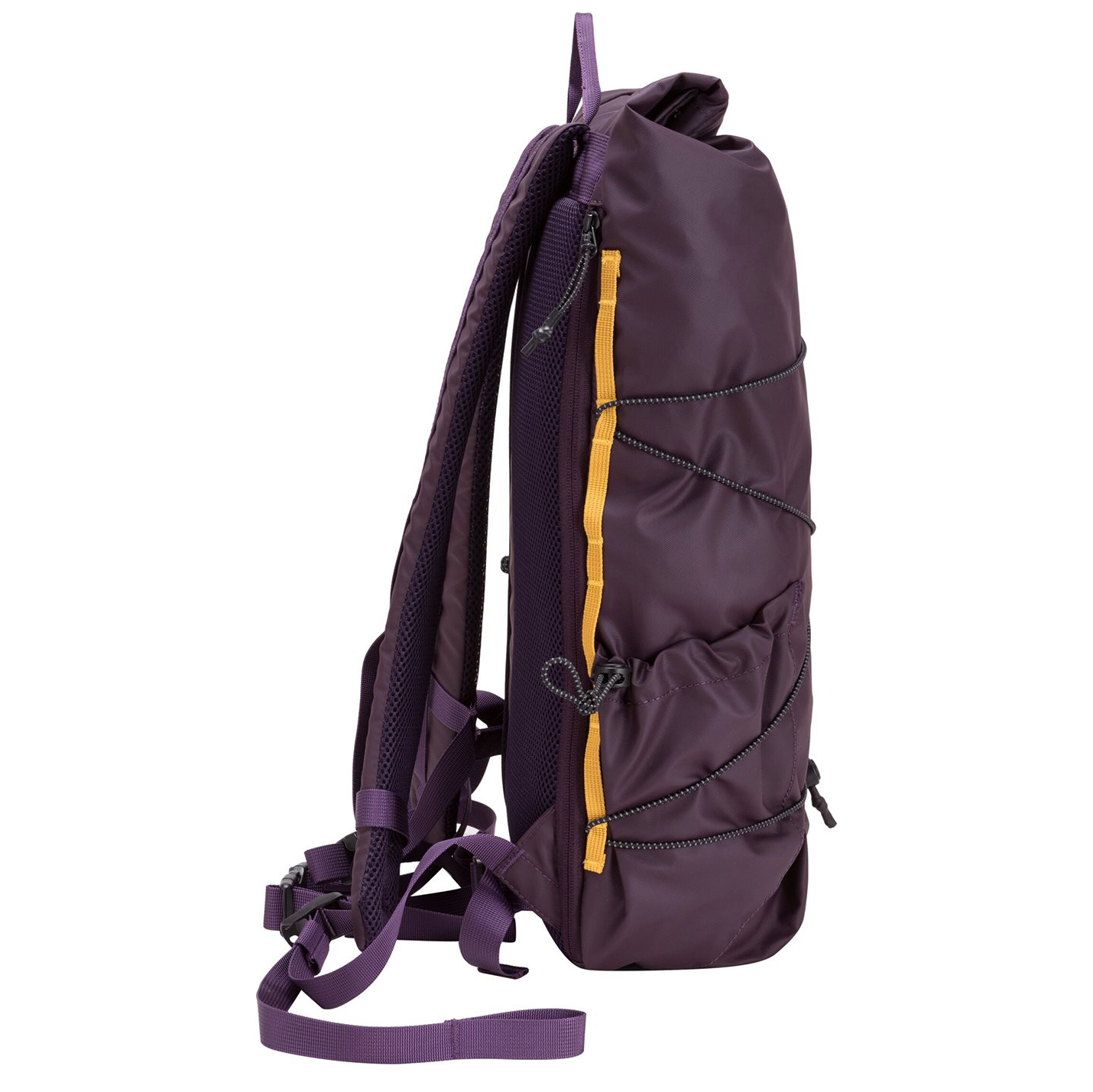 34001purple_5