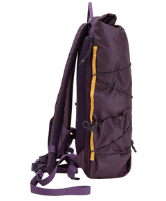 34001purple_5