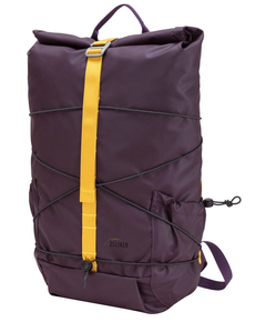 34001purple_6
