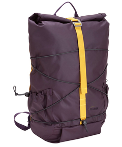 34001purple_7