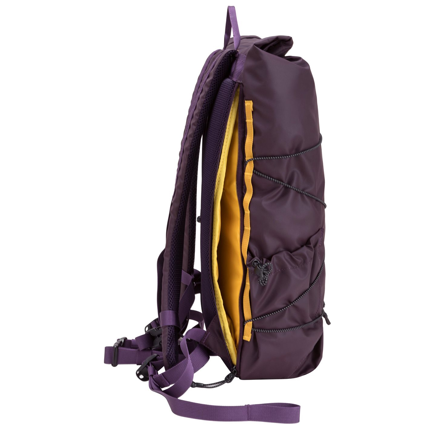 34001purple_8