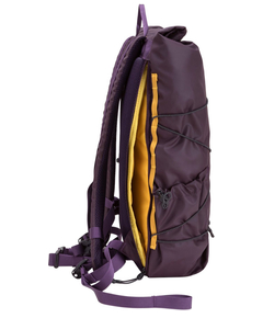 34001purple_8