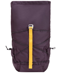 34001purple_9